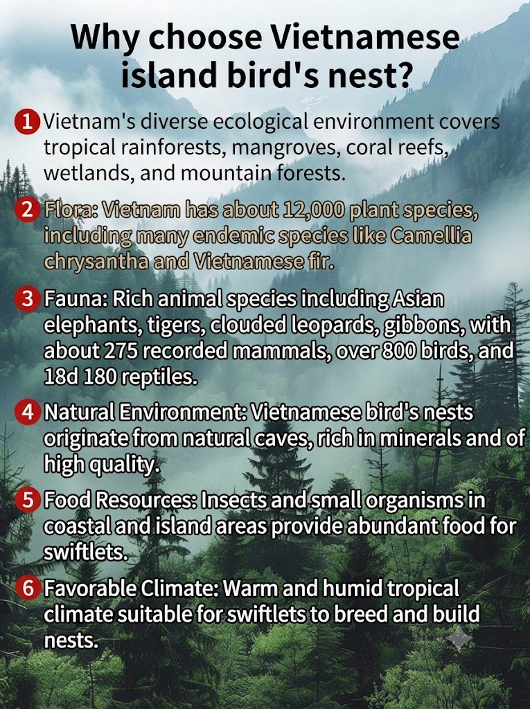 Vietnamese island origin and its natural ecosystem