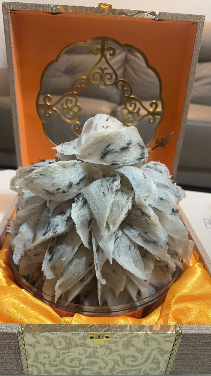 Natural Raw Whole Bird’s Nest Tower