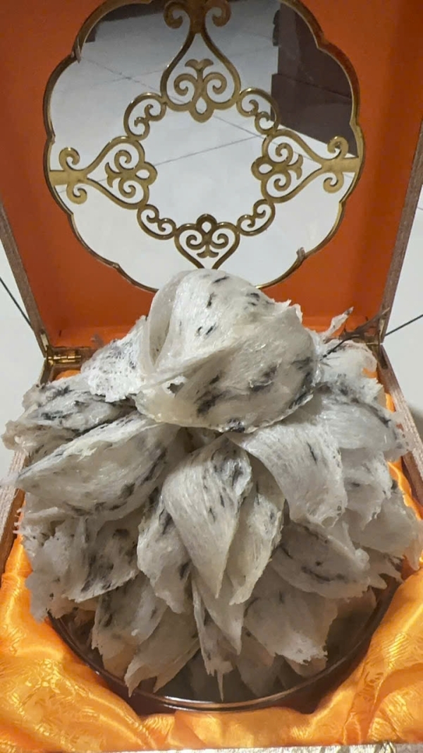 Natural Raw Whole Bird’s Nest Tower (500g)